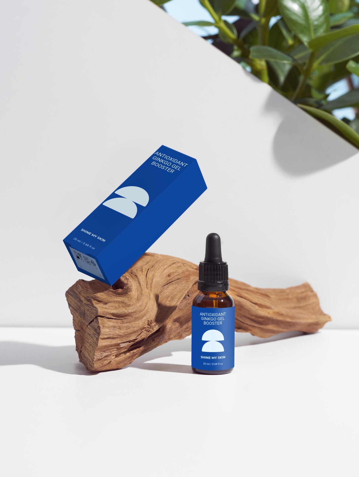 Booster de gel antioxydant au ginkgo